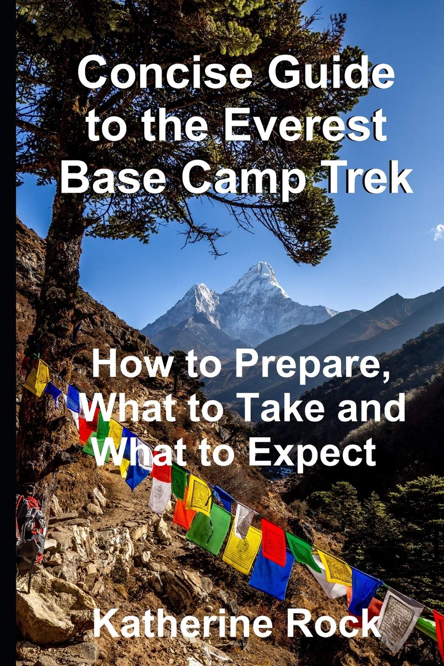 Concise Guide to the Everest Base Camp Trek: How to Prepare, What to Take and What to Expect Paperback – 9 Feb. 2020