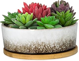 ARTKETTY Succulent Pots - 7 Inch Ceramic Bonsai Pots with Drainage Tray, Large Shallow Planters for Cactus Bonsai Trees, Round Glazed Flower Plant Container Bowl Home Desk Decor(White)