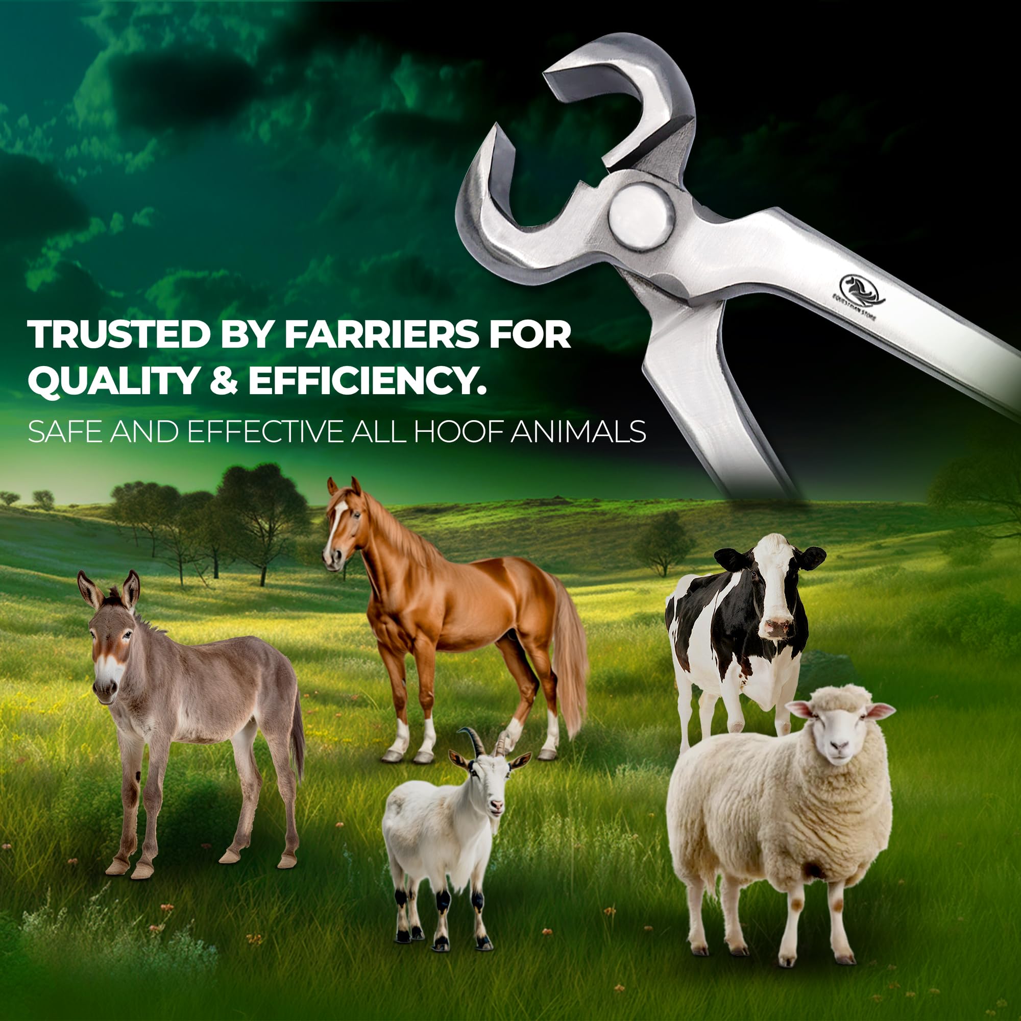 Pince à sabots pour animaux de ferme. Pinces à sabots robustes pour chevaux, bovins, chèvres, coupe-sabots en acier inoxydable – Accessoire de soin des sabots durable pour maréchals et sabots (38 cm)
