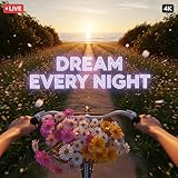 Live First Person Bike Ride Golden Hour: Cruising Through Tree-Lined Path & Spinning Wheels – Soothing Breeze 4K Display