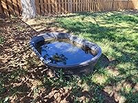 Review Image by Michael Littleton Michael Littleton