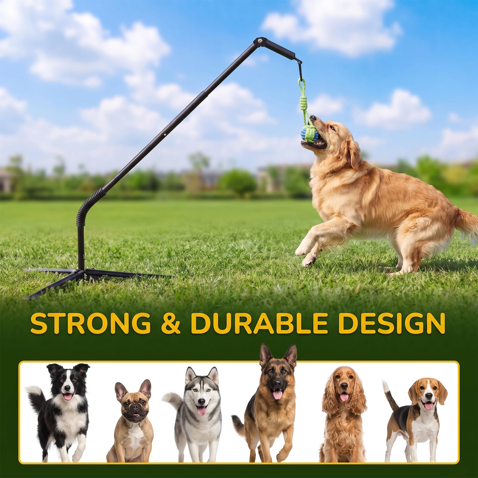 CATISM Tether Tug Dog Toy, palo a molla con paletti a terra, 89-122 cm