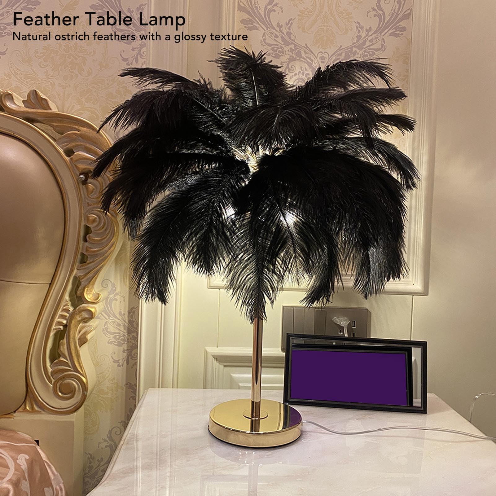 Schnurlose Tischlampen, Light Touch Control Schreibtischleuchte, Wiederaufladbare Laternen LED Nachttischlampe, Straußenfeder Nachtlicht, Schlafzimmerlampe (Schwarz)