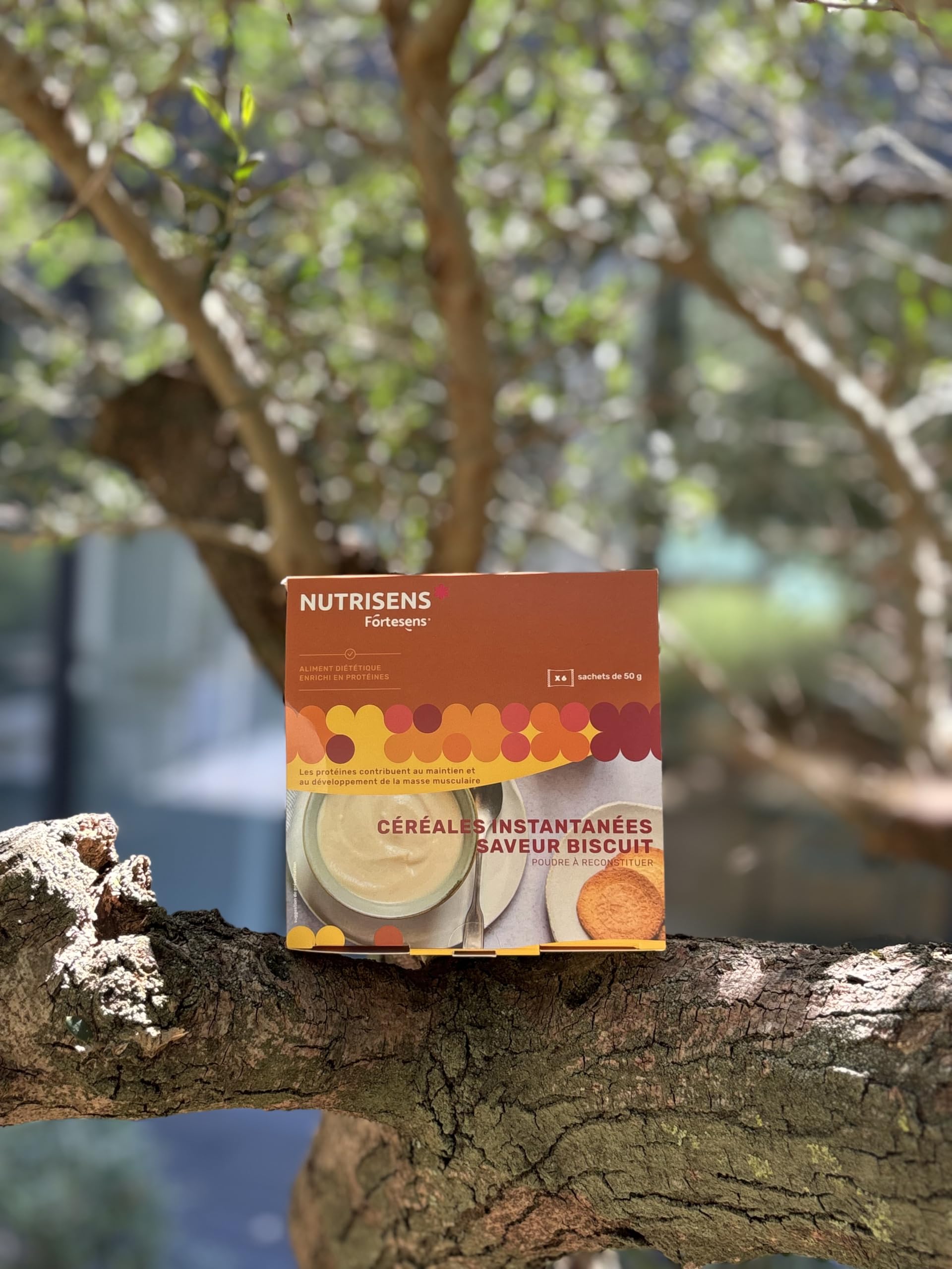 NUTRISENS - Porridge Protéiné - Saveur Biscuit - Sachets 50g | 27g de protéines / 100g - 12 vitamines et minéraux. Petit-déjeuner ou collation idéal pour sportifs, adultes et seniors.