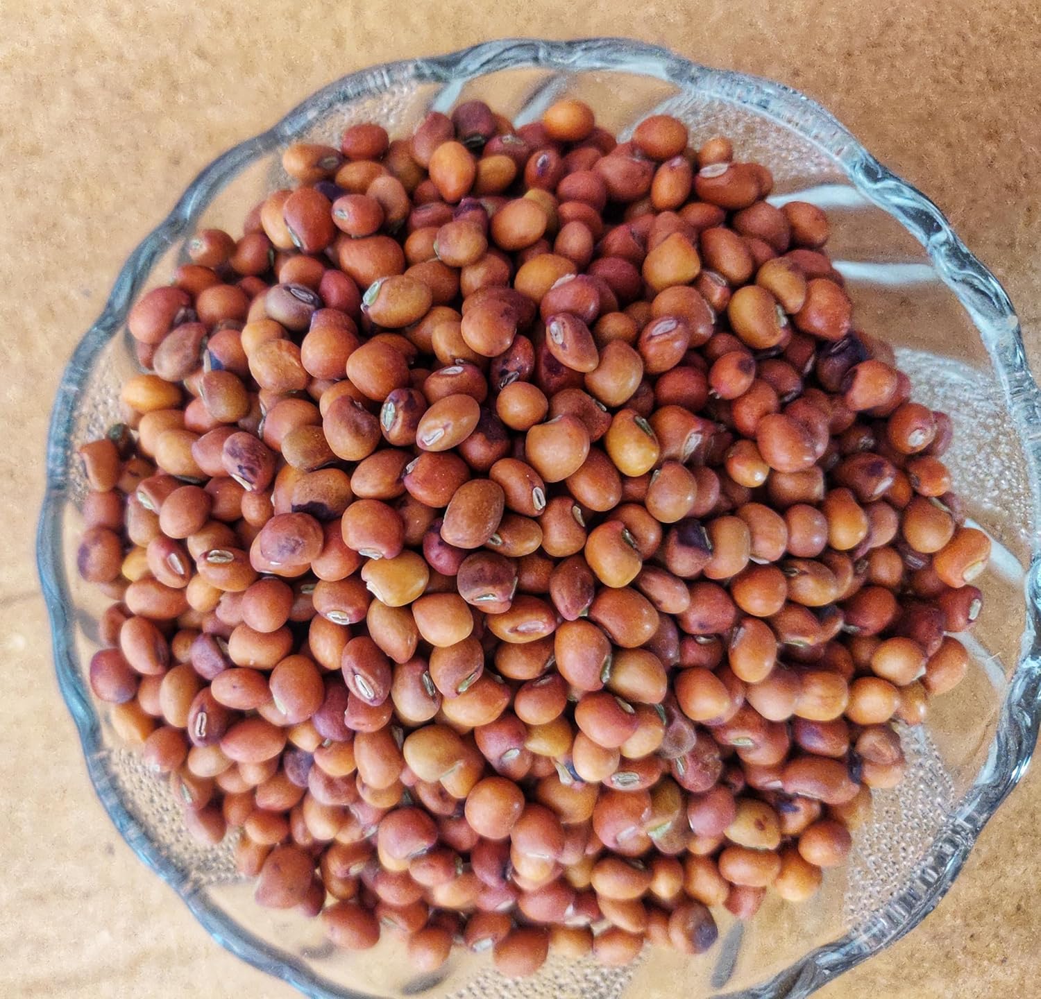 Super Food of Uttarakhand - Organically grown Pahadi Toor Dal/Whole Pigeon Pea (950) (B09LHRK6QB) Amazon Price History, Amazon Price Tracker