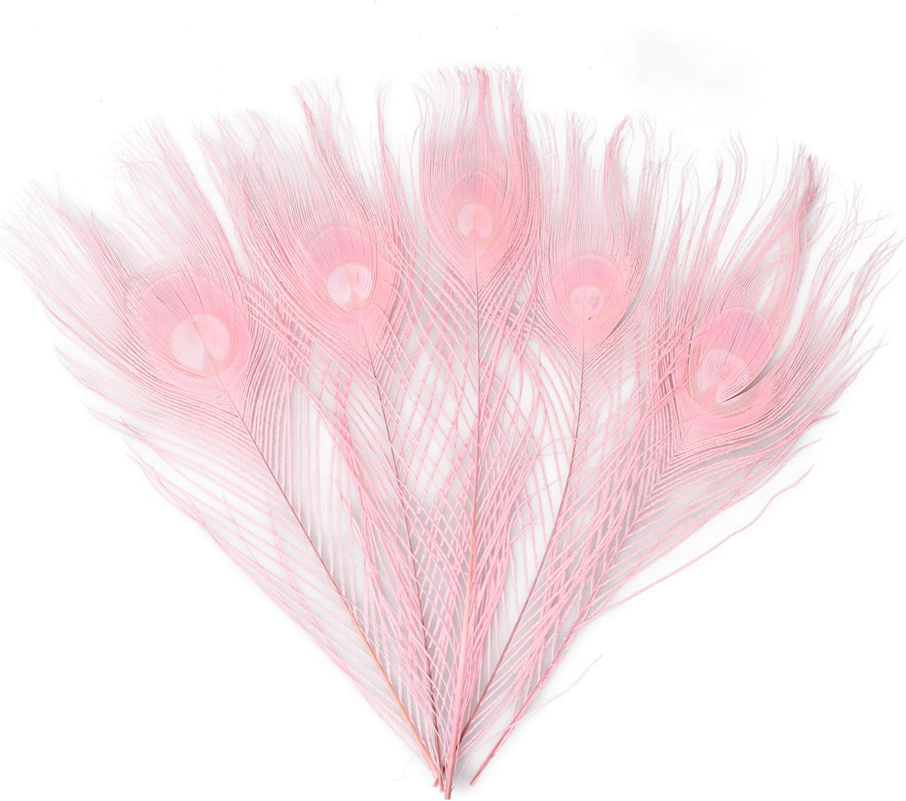 10-12 inches Peacock Feathers, Dyeing Peacock Feather for Decorate Clothing, Hair, Cakes, Festive Weddings, Pack of 30 (Pink)