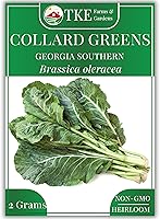 Georgia Southern Collard Green Seeds - 225 Non-GMO Heirloom Seeds, High Germination, Easy Instructions - TKE Farms & Gardens