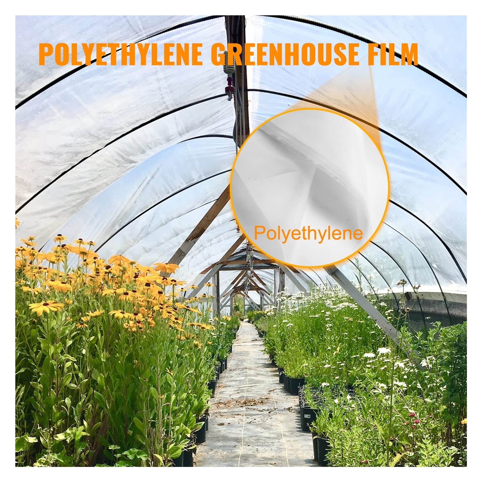 Film de serre agricole Capte ferme en plastique transparent Couverture légumes UV Plantes polyéthylène résistantes Fleurs plantes(8x25FT)