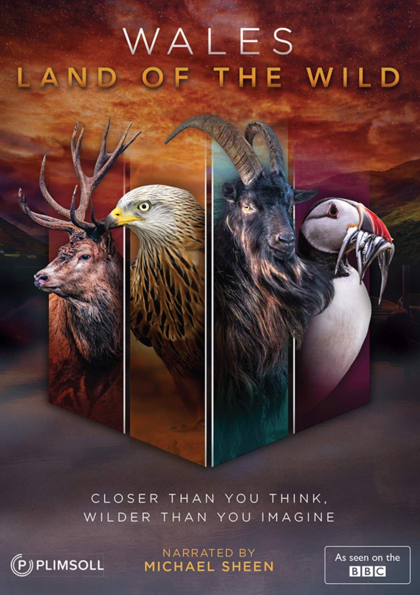 その他 Wild Wales & Rugged Wales [DVD] Wales: Land of the Wild [DVD]: Amazon.co.uk: DVD & Blu-ray