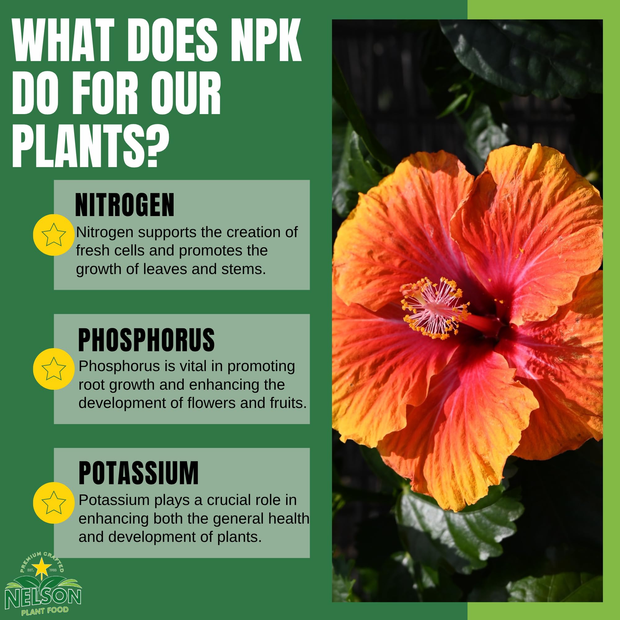NELSON PLANT FOOD NutriStar Hibiskus und blühende Tropicals im Bodenbehälter, für drinnen und draußen, Granulat-Dünger, 0,9 kg