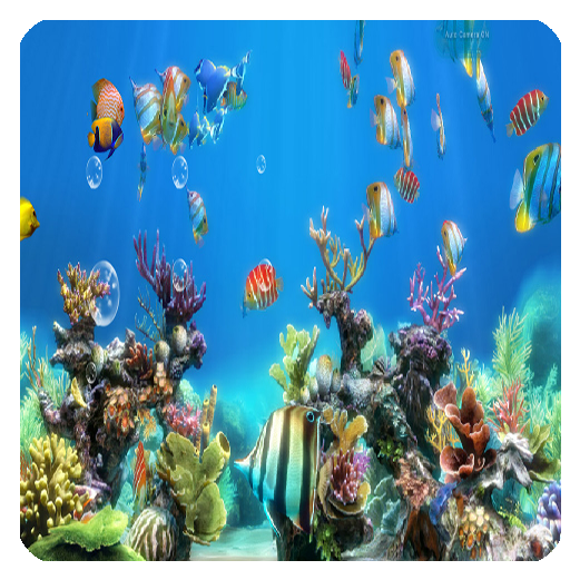 Koi Fish Live Wallpaper Free App on Amazon Appstore