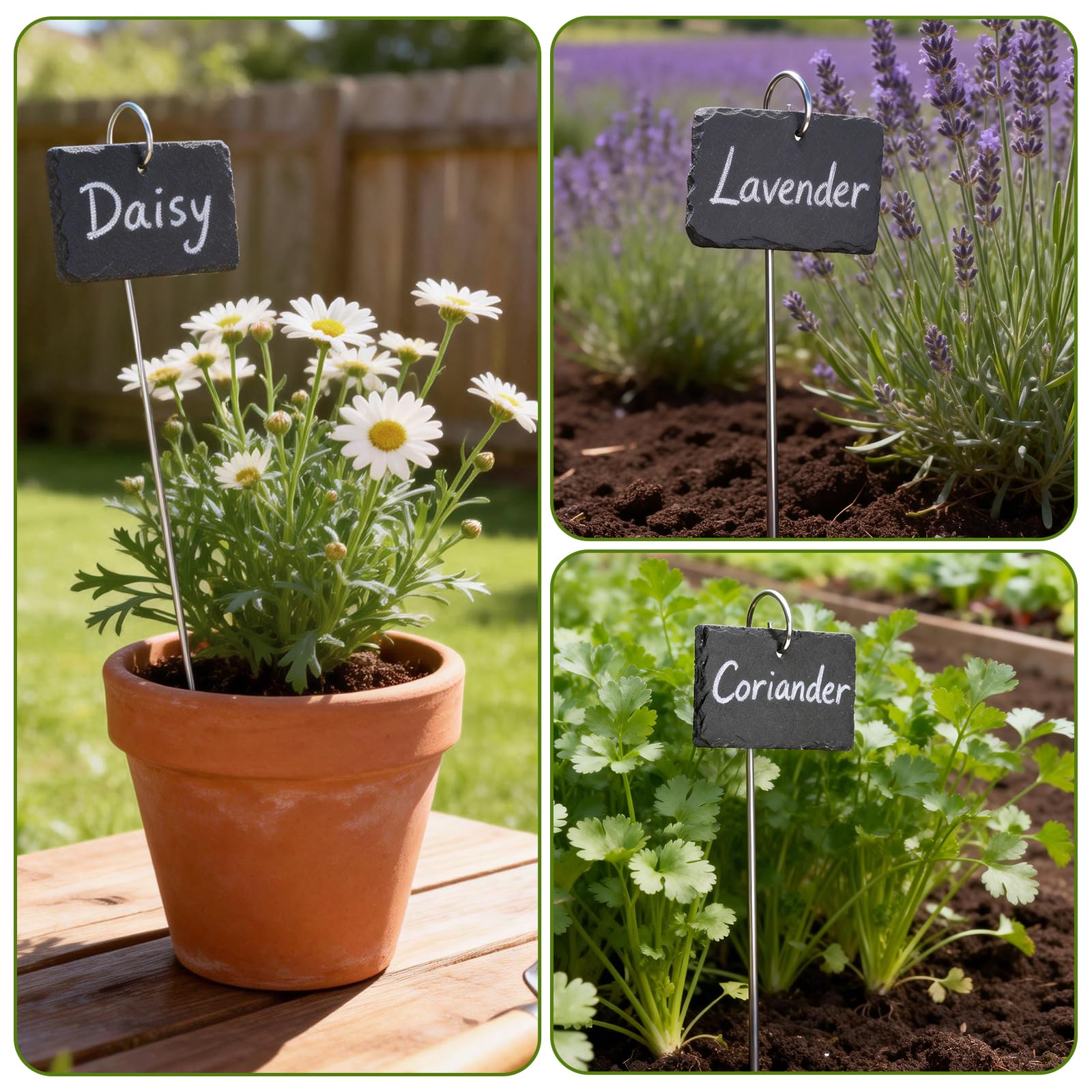 KINGLAKE 10 pièces étiquette pour plante en ardoise, étiquettes jardin exterieur, avec une tige de fer et de la craie, étiquette potager réutilisables, etiquettes semis plantation-rectangle
