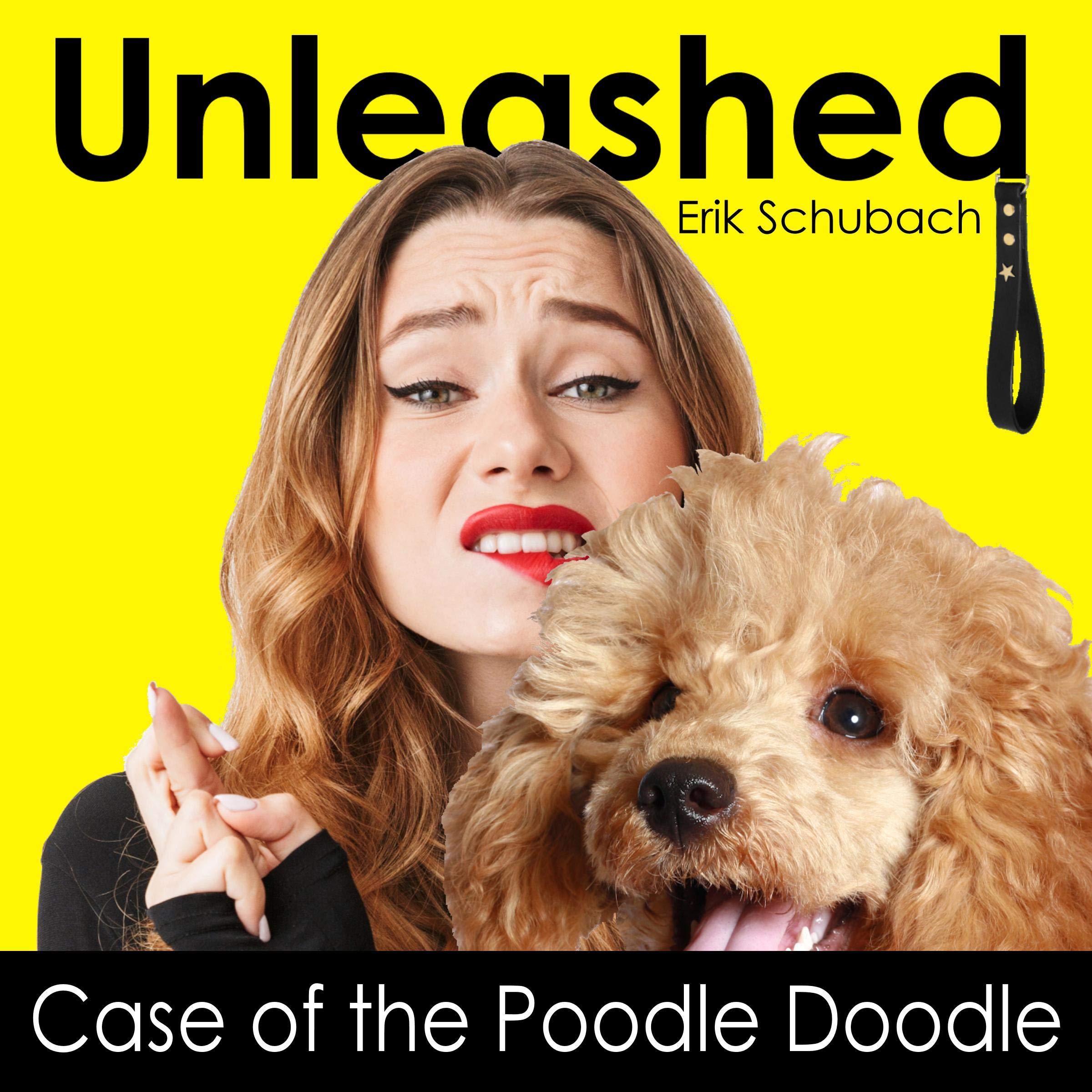 Cover art for Case of the Poodle Doodle