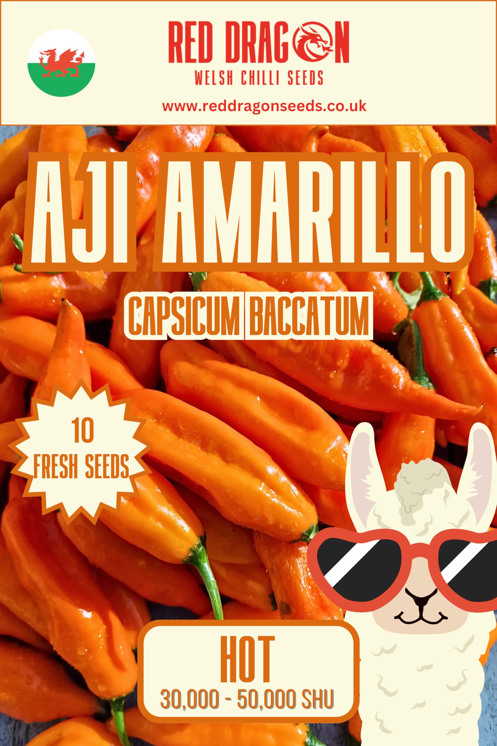 Aji Amarillo Chilli Seeds - Aji Amarillo Pepper Seeds