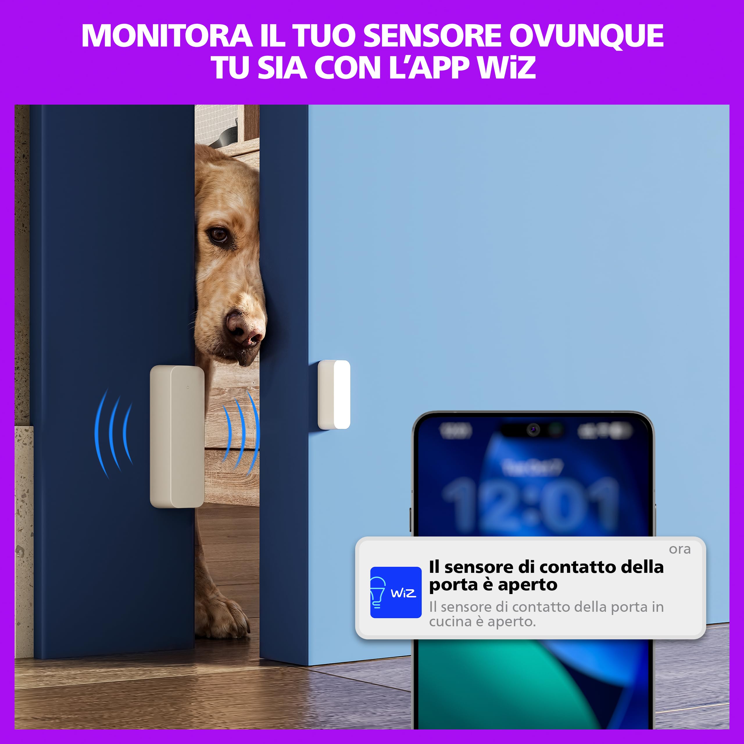 Philips Smart Lighting Sensore di contatto smart, Confezione da 2