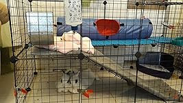 Review Image by Stephanie Woo Stephanie Woo