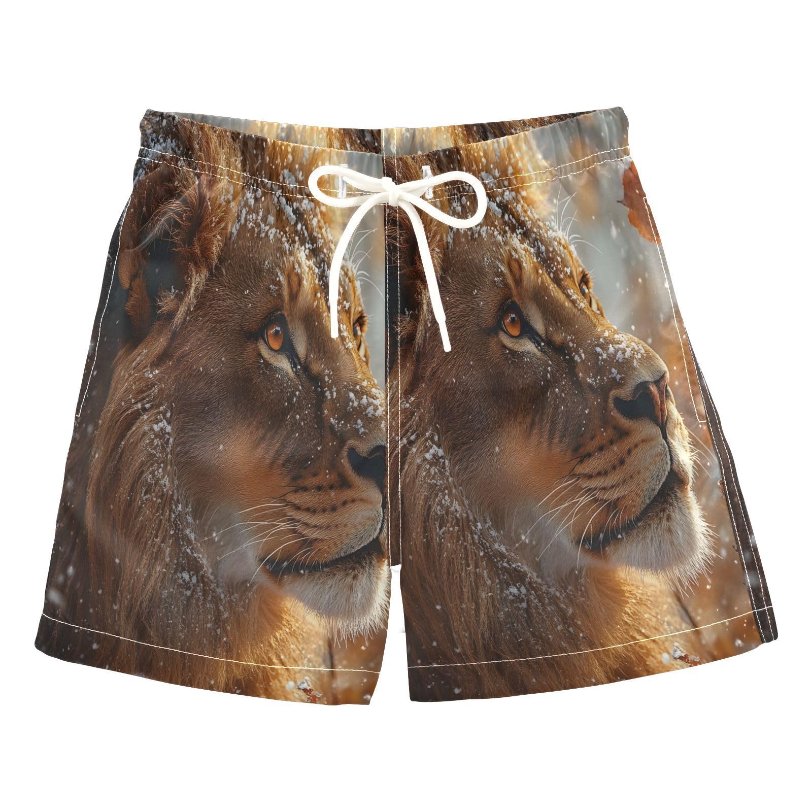 Boys Swim Trunks Toddler Swim Shorts Little Boys Swimwear Winter Lion Bathing Suit Swimsuit Multi