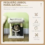 Ver la foto 3