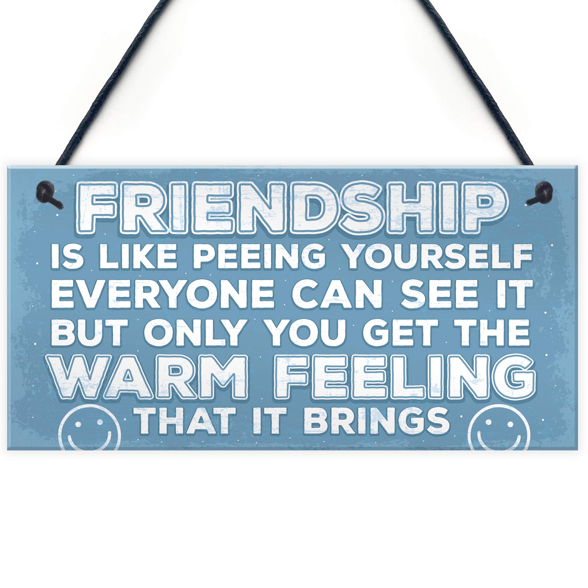 Red Ocean Novelty Best Friend Sign Friendship Funny Rude Gift Novelty Birthday Plaque Thank You Gift