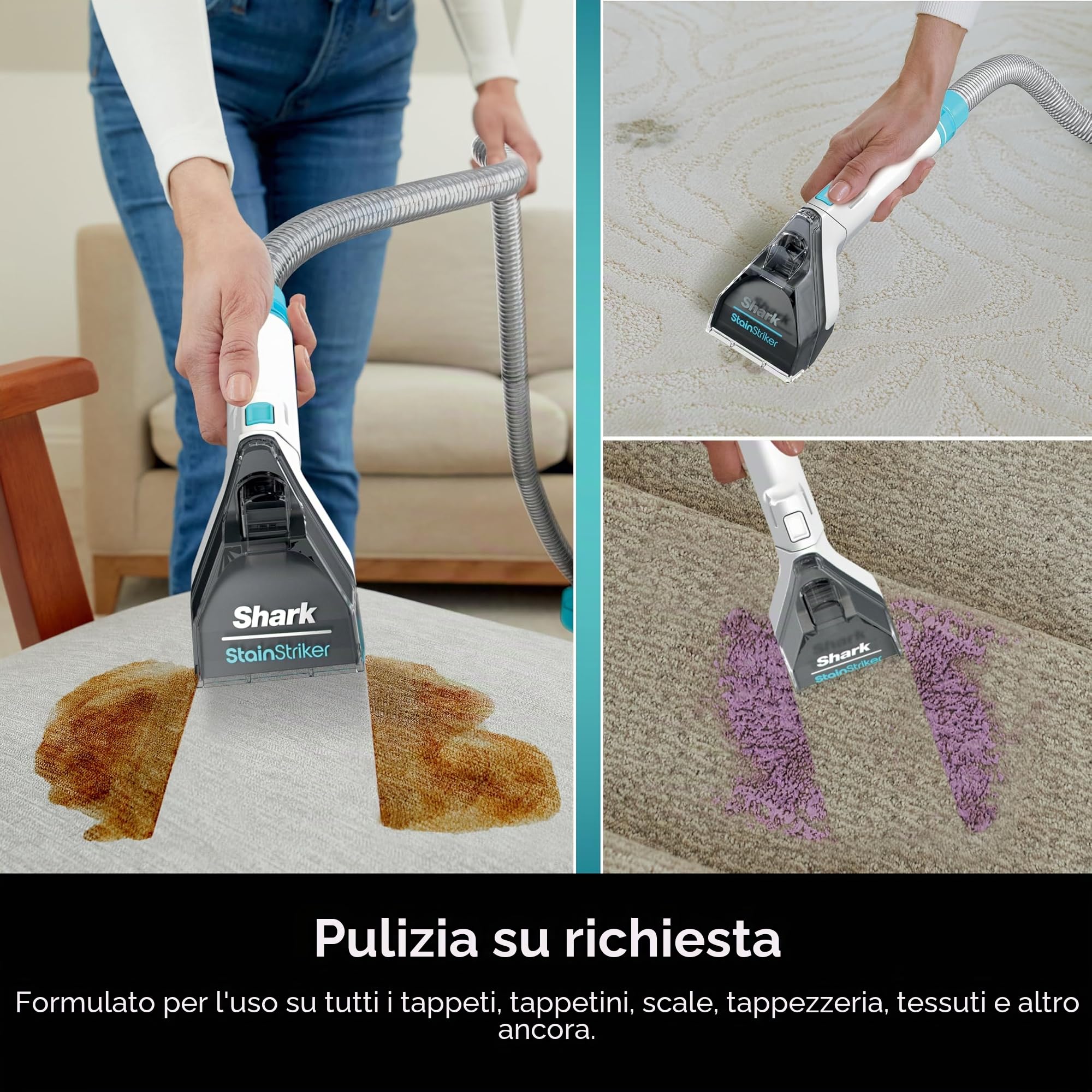 Shark PXCMBUNDLE StainStriker Pacchetto completo per detergenti portatili Shark StainStriker, per tappeti e tappeti, elimina sporco e odori degli animali domestici, moltiplicatore OXY da 907,2 g e