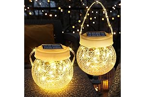 Brizled Solar Lantern 2-Pack with 40 LED Lights