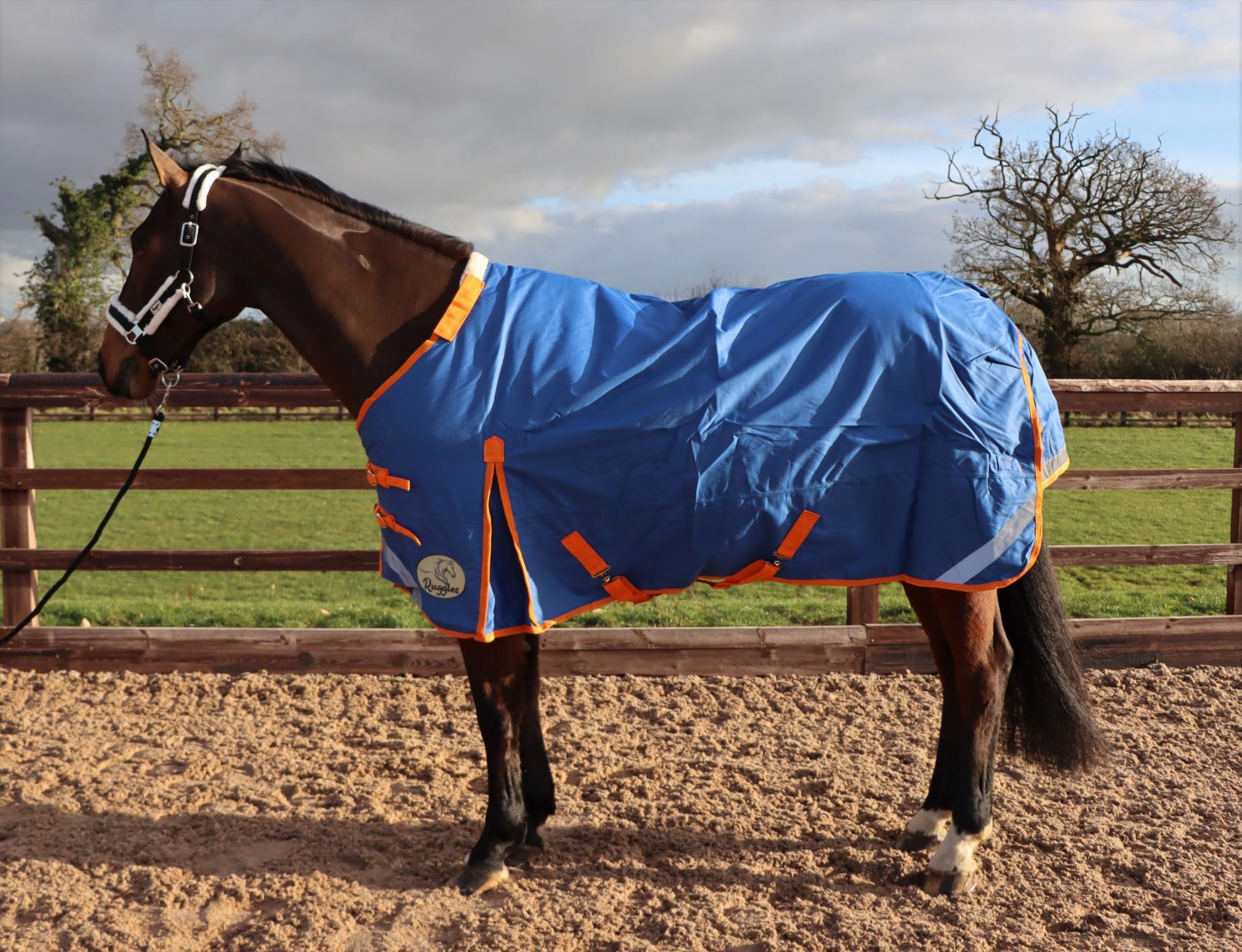 Ruggles 200g Middleweight Turnout Rug for Horse & Pony | Waterproof & Breathable | Durable 1200D Teflon Coated Outer | Perfect for Autumn Winter Spring (Light Delft Blue, 5' 9")