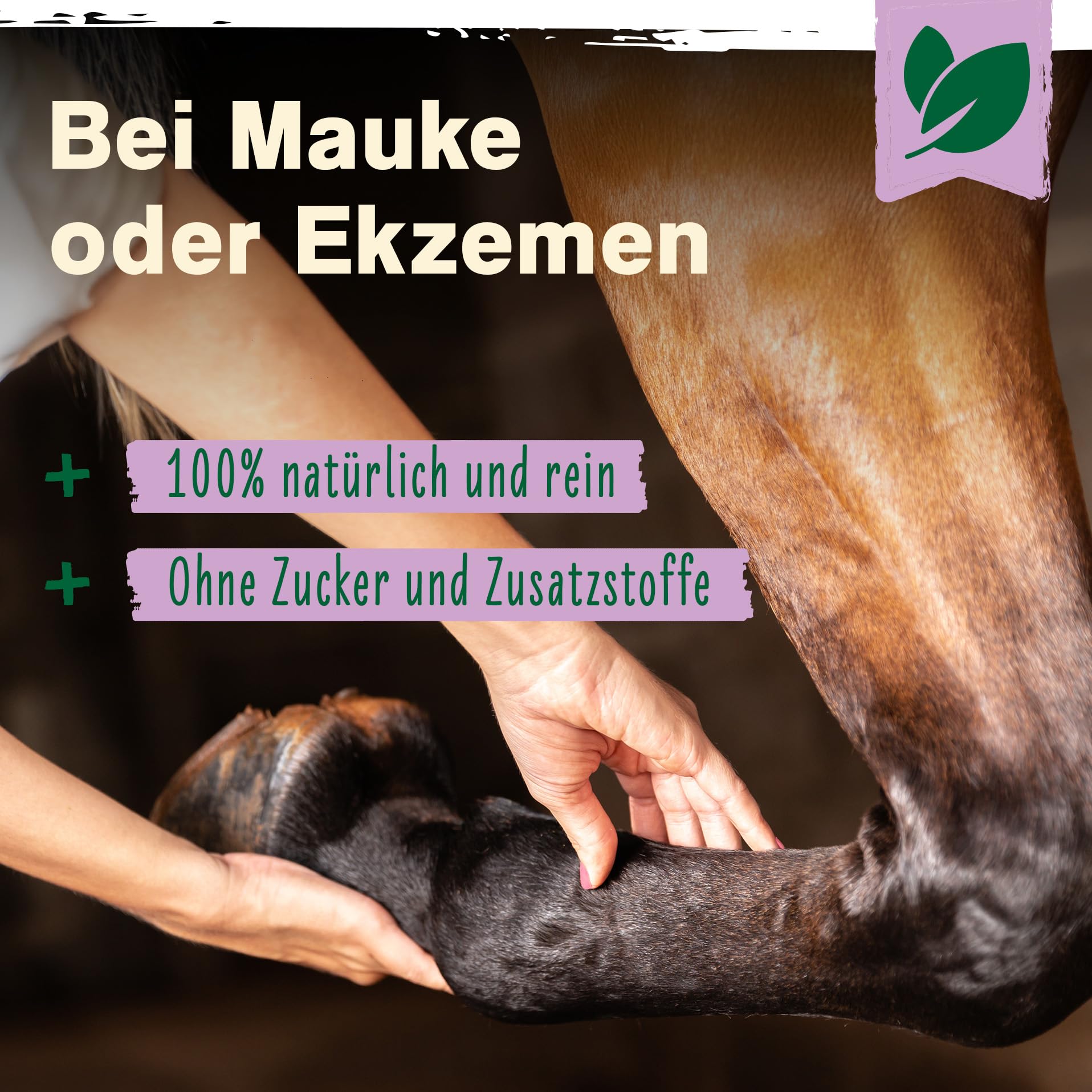 Ida Plus Biotin + Zink - Rundumversorgung – hochdosiert – VERGLEICHSSIEGER – Premium Zink für Pferde - verbessert Hufqualität - für Haut, Fell & Immunsystem - bei Mauke, Hufproblemen & mehr - 750g