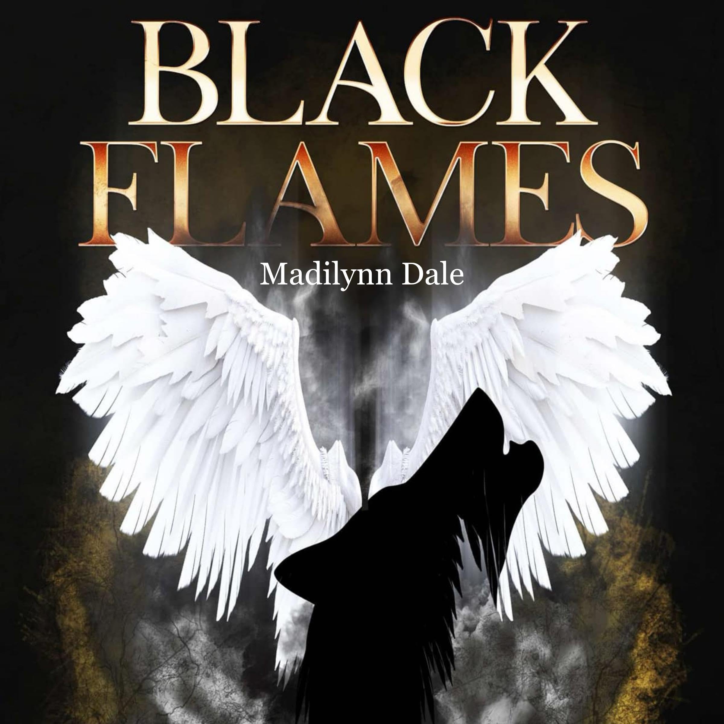 Cover art for Black Flames
