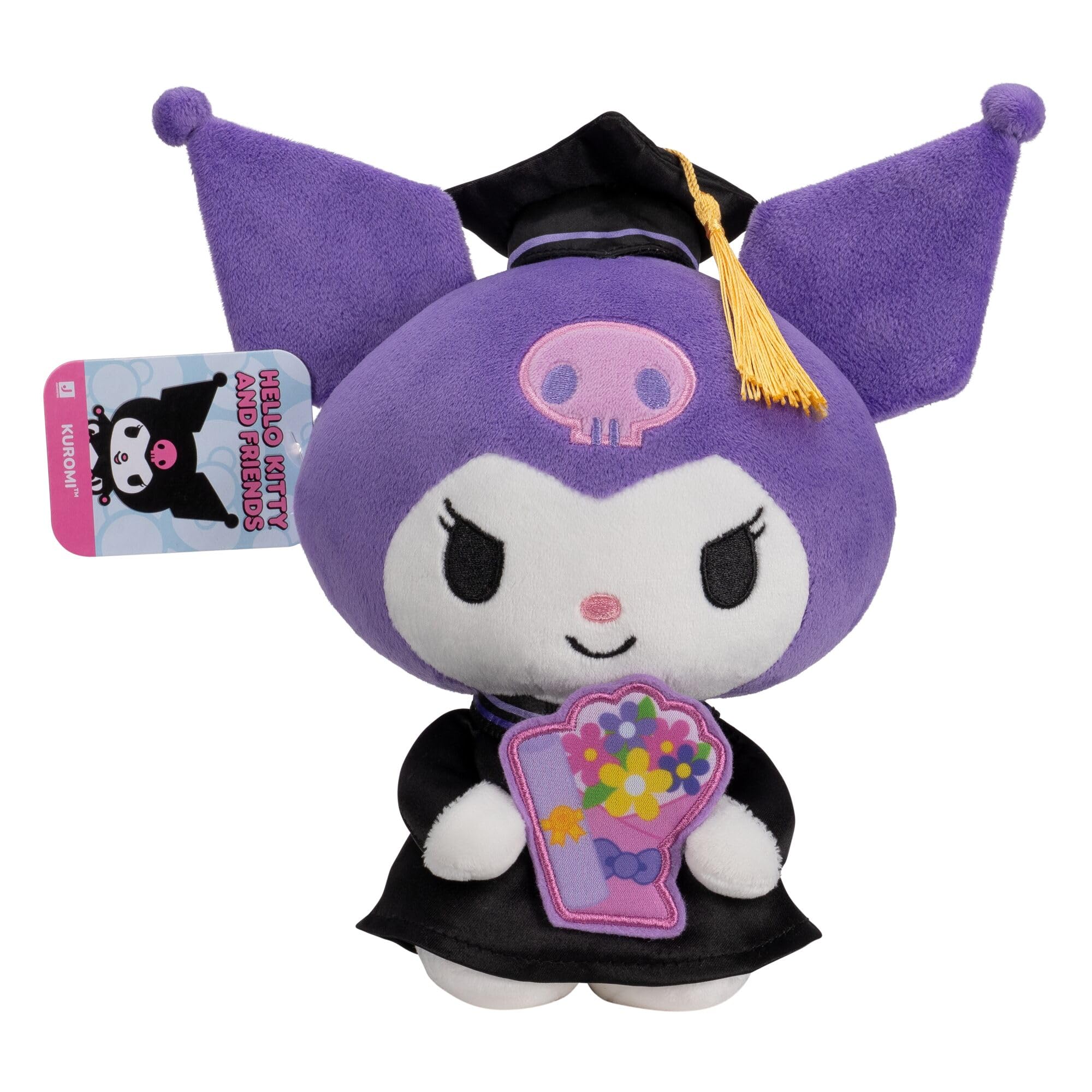 Amazon.com: Jazwares Hello Kitty® and Friends, 8-Inch Graduation