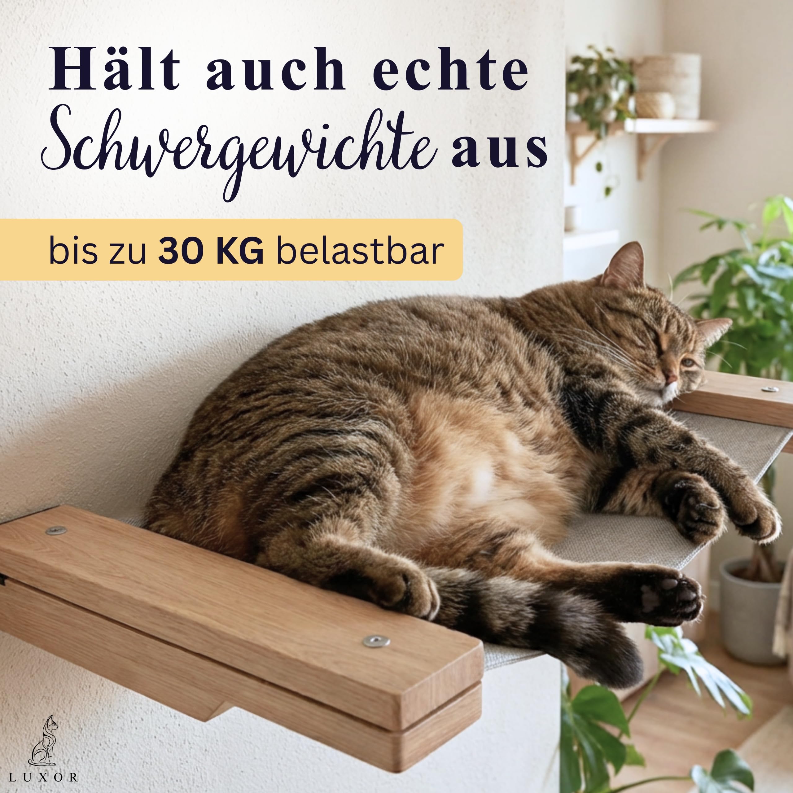 LUXOR Kletterwand Katzen Hängematte inkl. 2X Katzentreppe Wand & Befestigungsmaterial - Stabilität und Langlebigkeit Dank Massivholz und Stahlkonstruktion - mit kratzfestem Leinenstoff