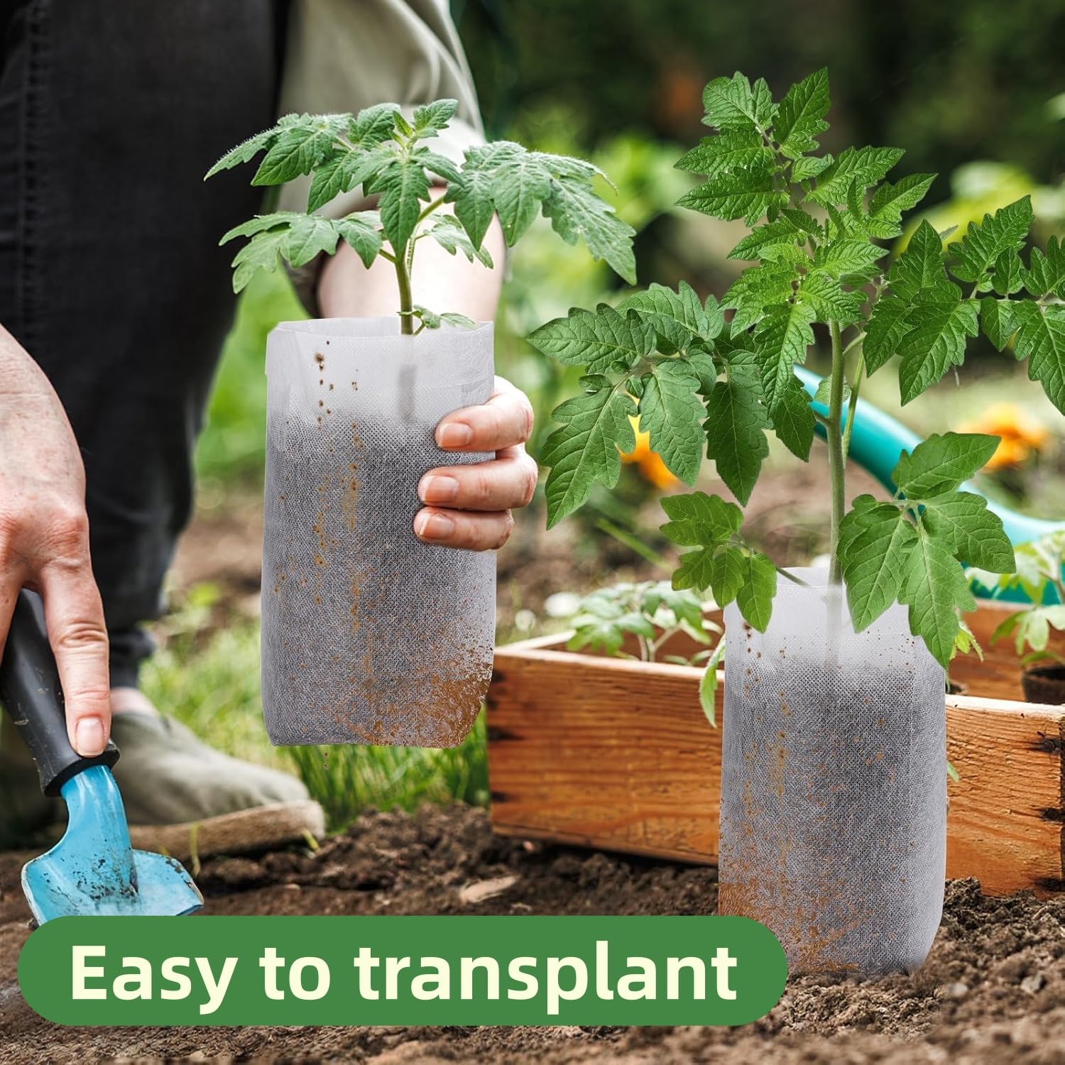 600 Piezas Bolsas de Cultivo de Plantas, Bolsas de Vivero Planta de Tela no Tejida, Bolsa de Tela para Macetas, Biodegradable, Transpirable, para Verduras, Flores y Frutas en Granjas (12.5×17.5cm) — view 9
