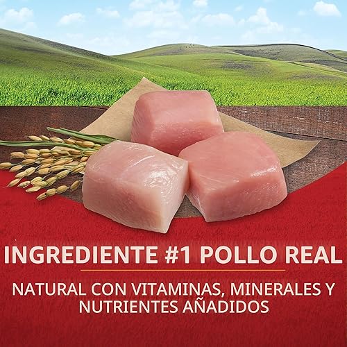 Miniatura 2 de Purina ONE Comida seca para perros con fórmula de pollo y arroz, bolsa de 31.1 libras