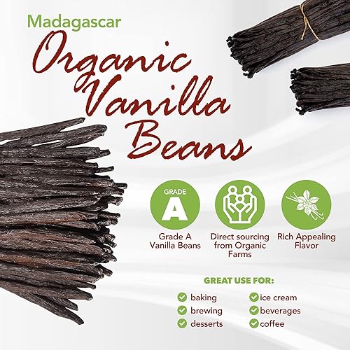 Miniatura 2 de FITNCLEAN - 11 vainas de vainilla orgánicas de Madagascar de grado A, Certificado orgánico USDA.  6 pulgadas de longitud para extracto, cocinar y