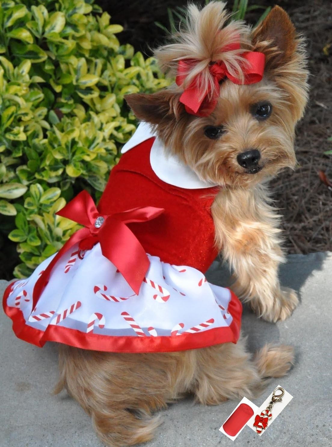 DOGGIE DESIGN Mrs. Santa Claus Holiday Candy Red Velvet Harness Dress with Charm Bags and Leash- for Dogs Sizes XS to L (Large fits Chest 19”-20”, Neck 14”-17”, Candy Red)