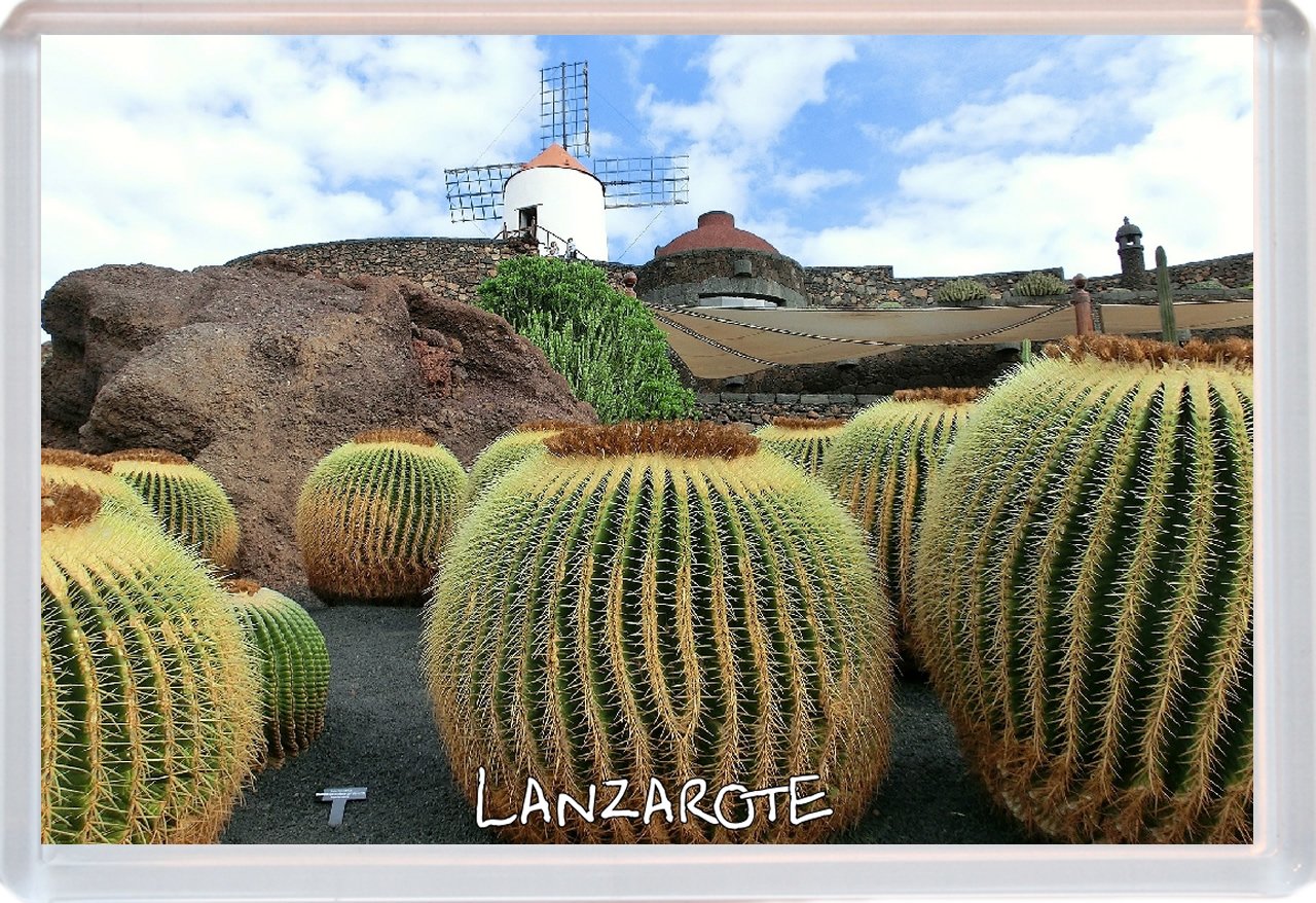 Baked Bean Store Multicolor Lanzarote - Cactus Garden - Canary Islands - Spain - Jumbo Fridge Magnet