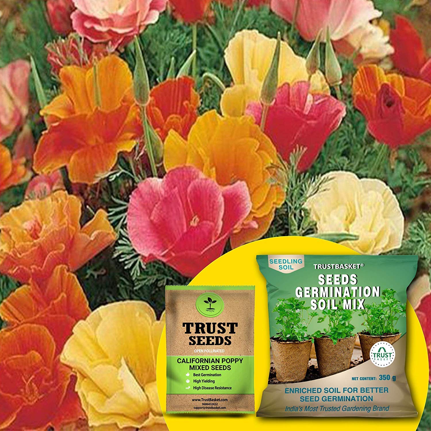 Trustbasket Trustbaske Californian Poppy Mixed (Op/Desi) Seeds With Free Germination Potting Soil Mix (B082FFHMGL) Amazon Price History, Amazon Price Tracker