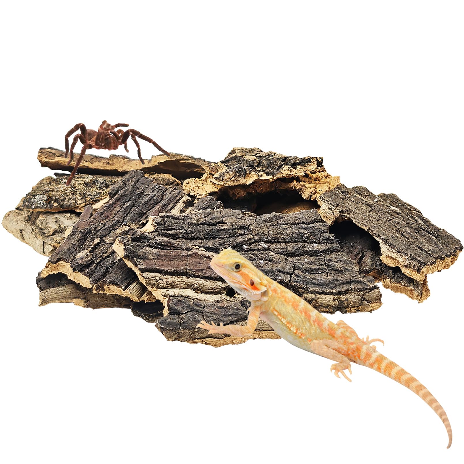 BNOSDM Cork Bark for Reptiles 1 LB Bulk Natural Cork Flats for Terrarium