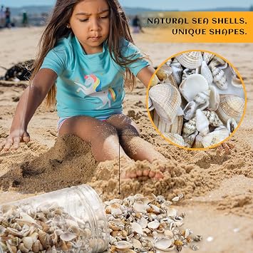 1500 Pcs Small Shells for Crafts,Small Sea Shells for Crafting,Mini Seashells Bulk for Decorating,Assorted Tiny Seashells for Resin,Home Decorations, Beach Theme Party, Candle Making, Wedding Decor