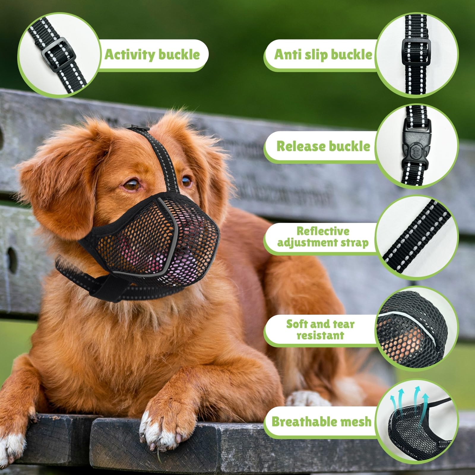 Muselières pour Chiens Anti-Grignotage, Colliers pour Chiens, Muselières Respirantes Réglables pour Animaux de Compagnie,Prévenir l'ingestion Accidentelle,Convient Animaux de Moyenne Taille(M)