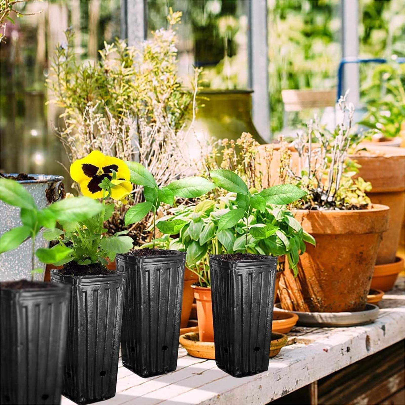 Macetas de plástico de 10 cm, macetas de plástico para plantas de vivero, macetas de semillero, macetas de inicio de semillas para verduras, flores, hierbas, esquejes suculentas