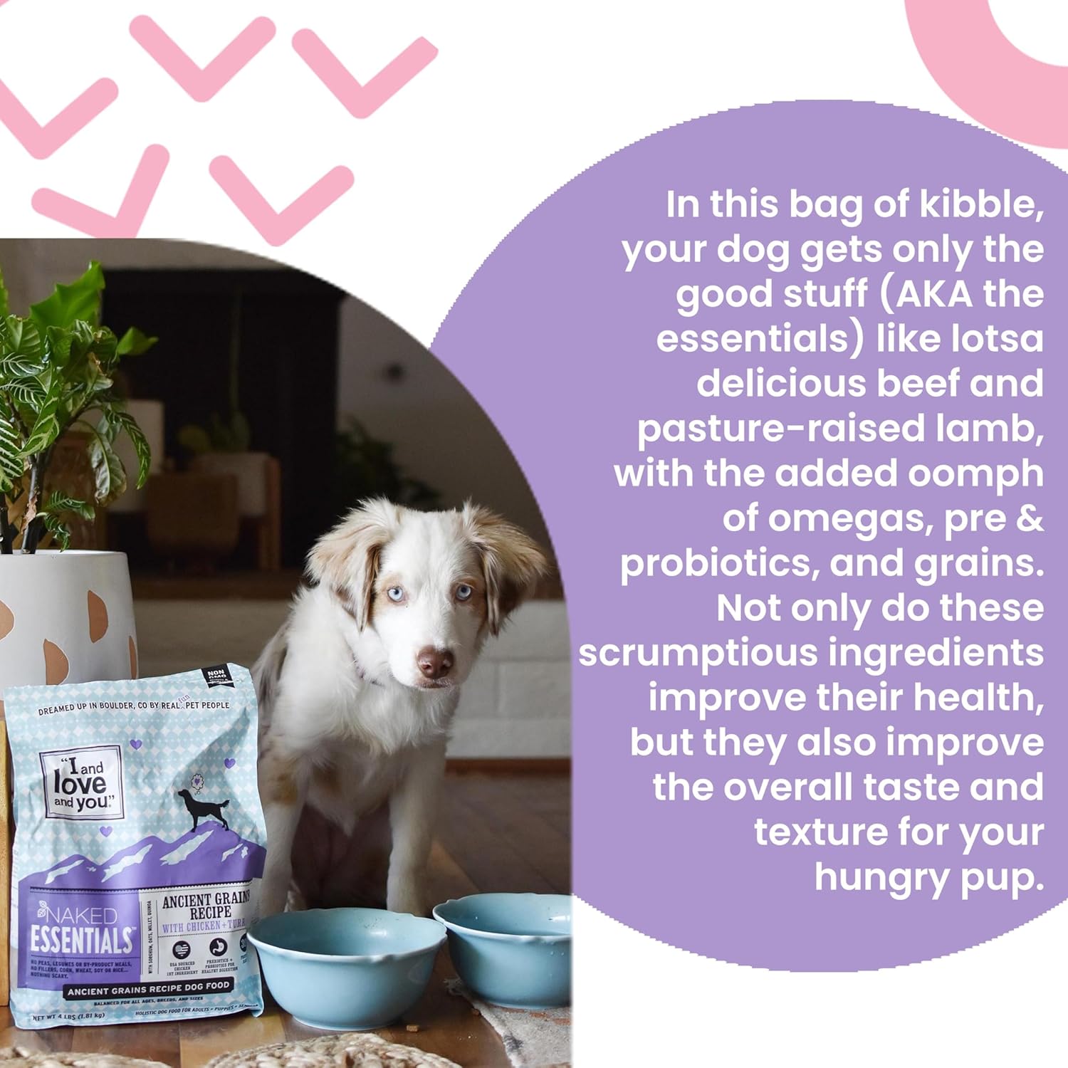 I and love and you Naked Essentials Ancient Grains Dry Dog Food - Chicken + Turkey - High Protein, Real Meat, No Fillers, 23lb Bag