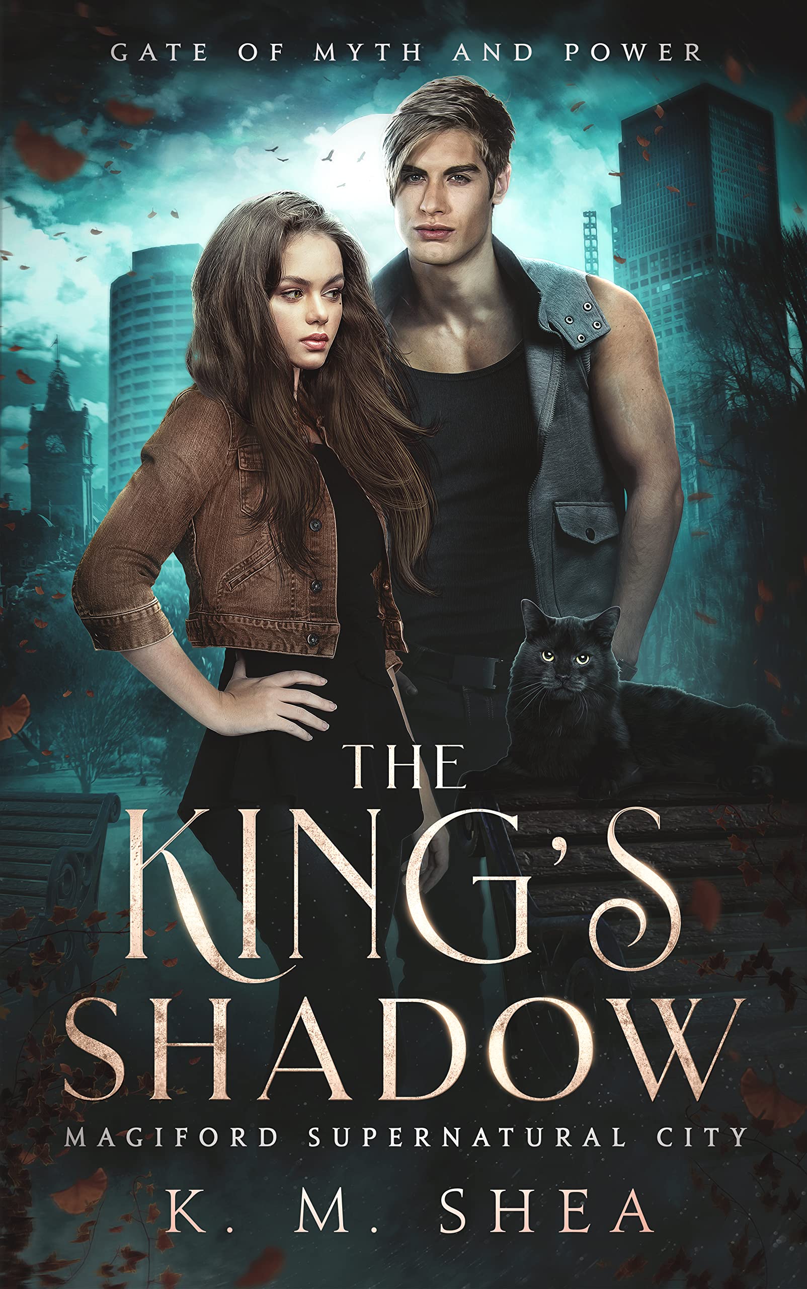 Cover of The King's Shadow