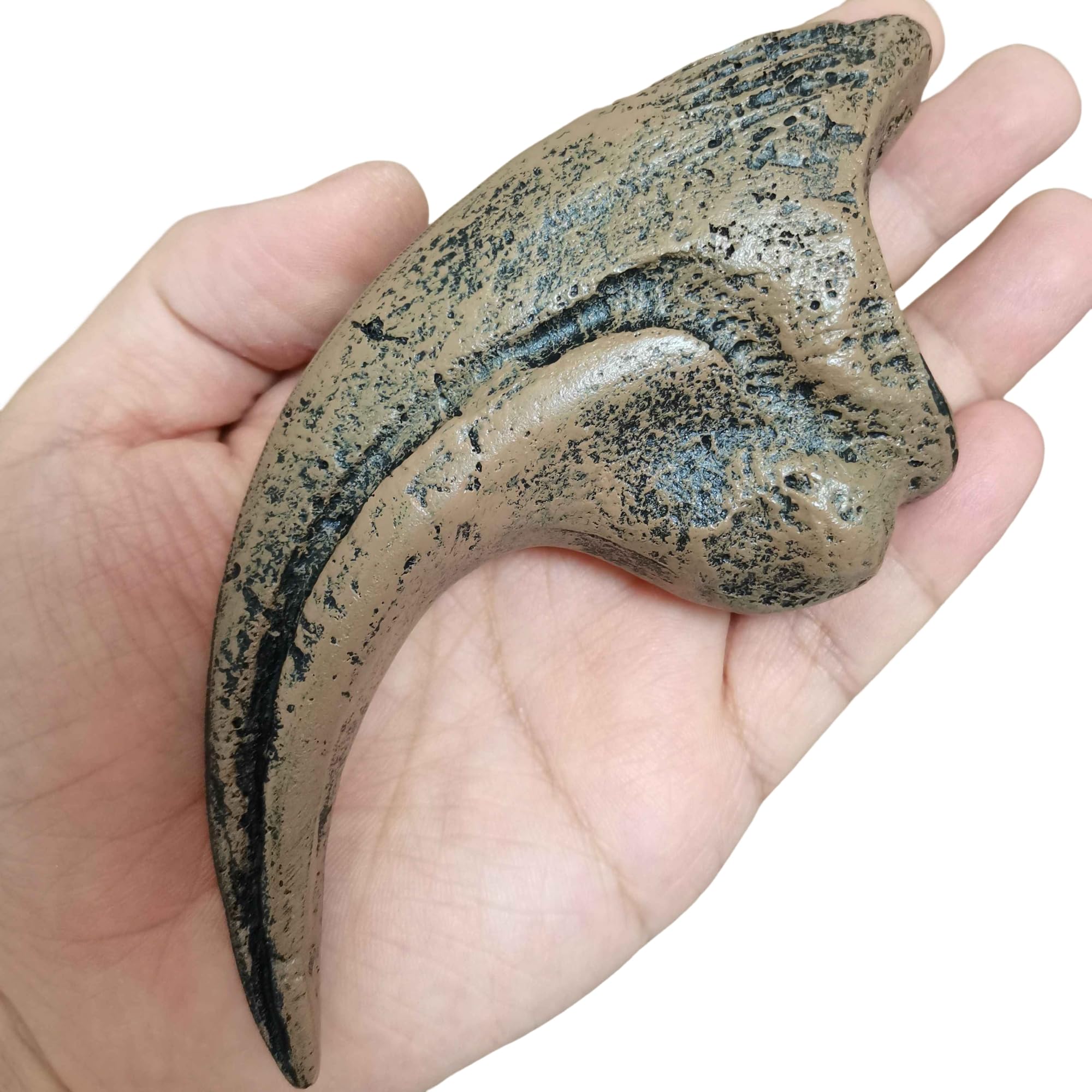Velociraptor Dinosaurio Tamaño Natural Garra Fósil Réplica Dinosaurio Réplica Fósil Decoración para Casa Oficina Decoración Artesanía Enseñanza Prop