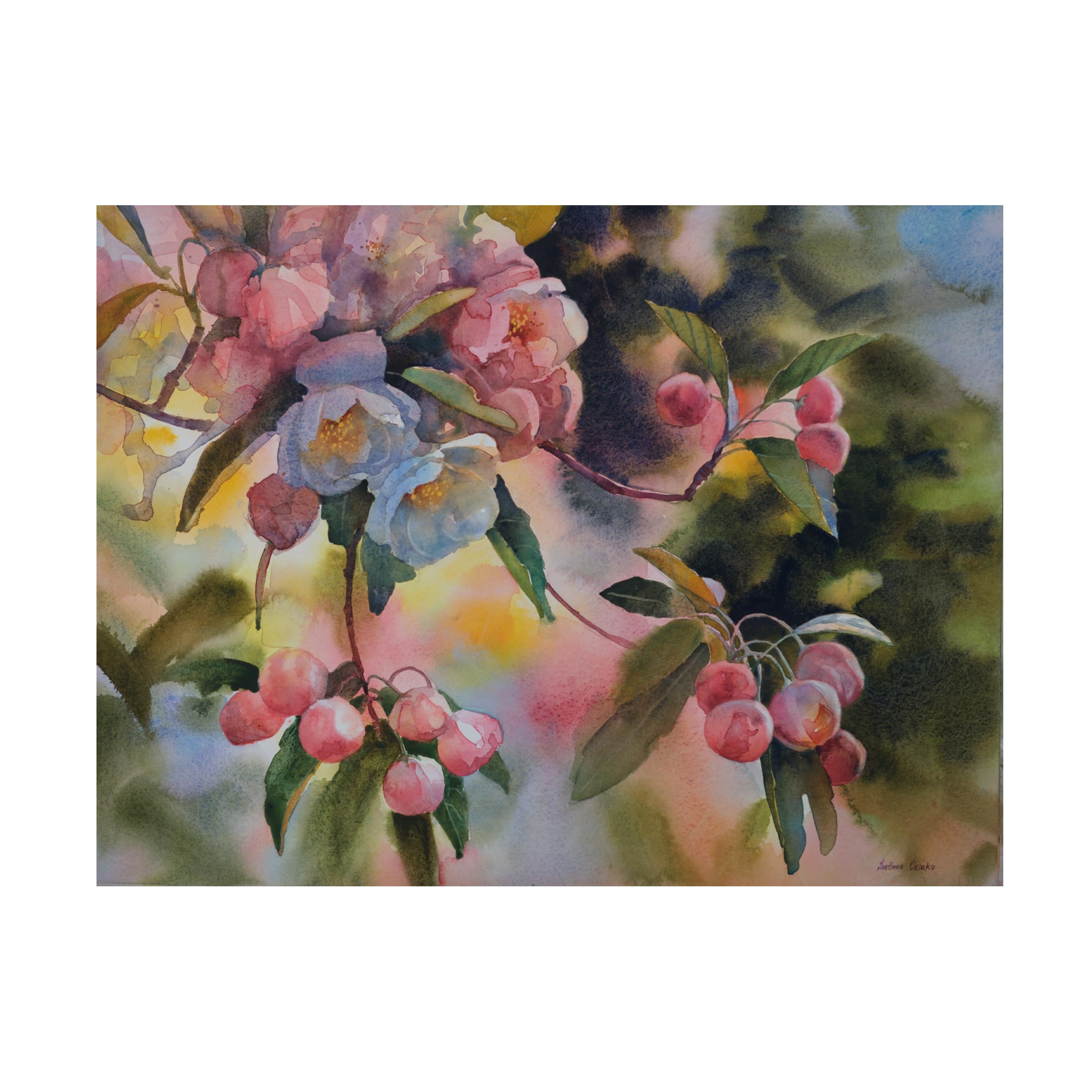 Svetlana Orinko 'Crab Apple Blossoms II' Canvas Art