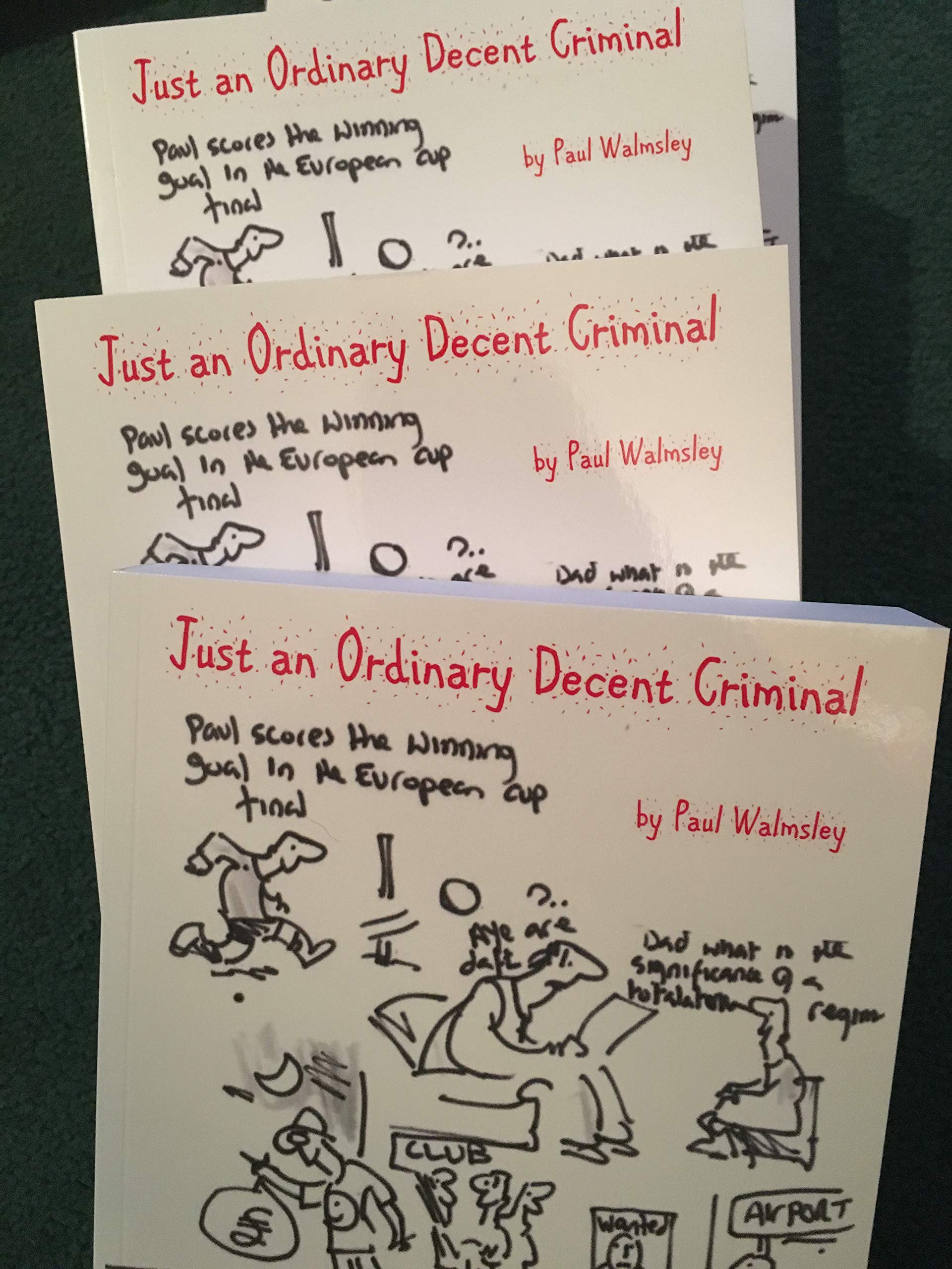 Just An Ordinary Decent Criminal