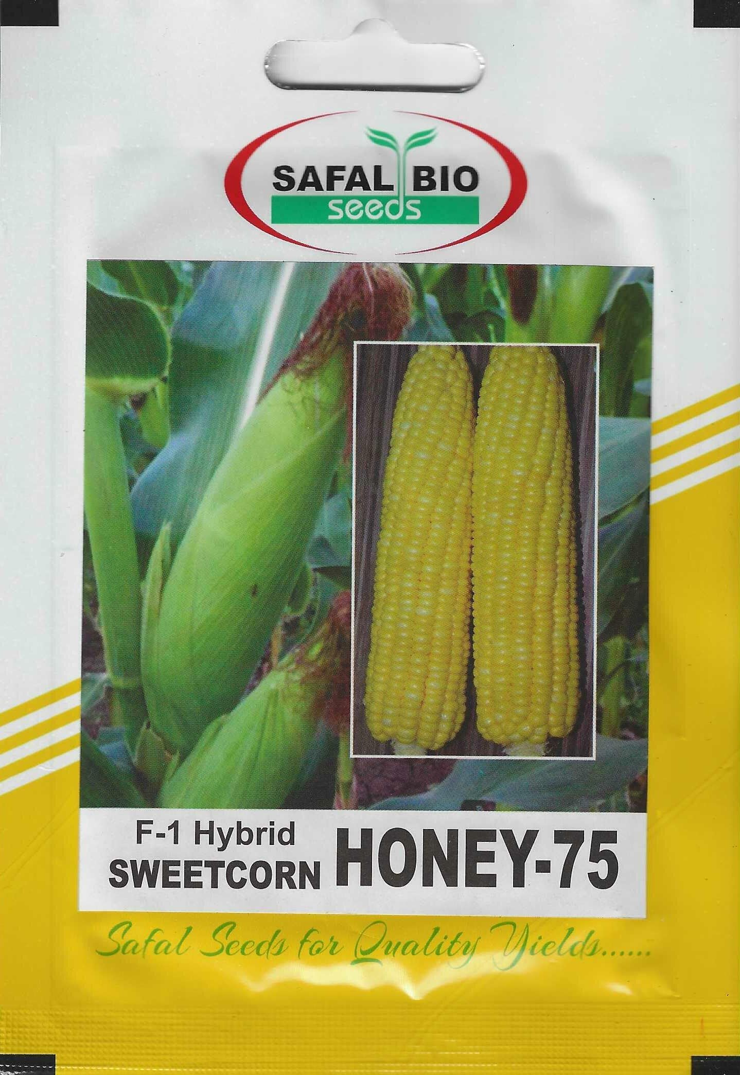 Safal Bio F1 Hybrid Sweet Corn (Honey-75) Premium Quality Seeds