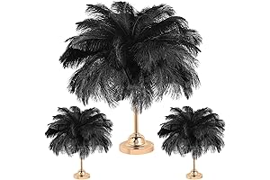 XunYee Black Ostrich Feathers 18-20 Inches Bulk