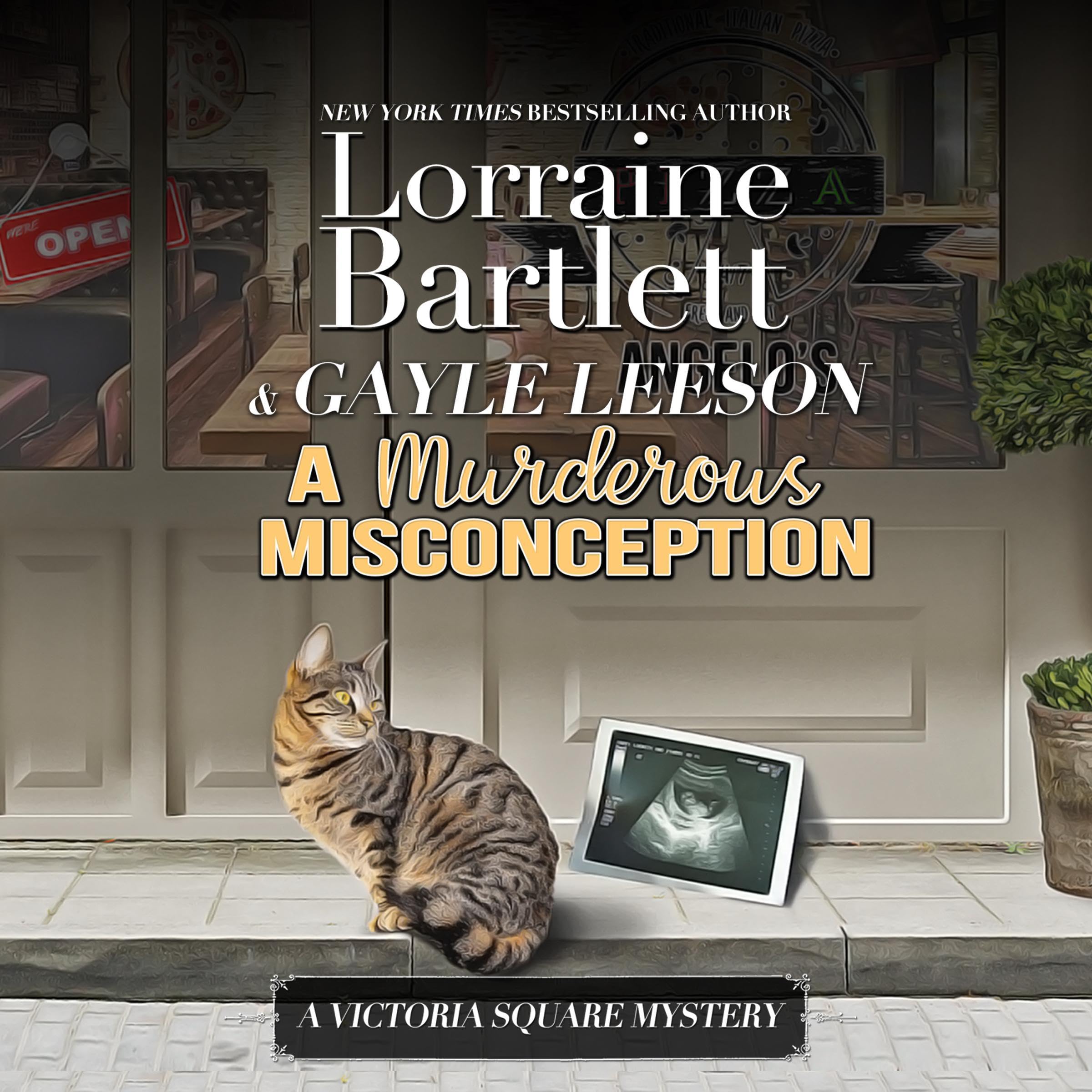 Cover art for A Murderous Misconception