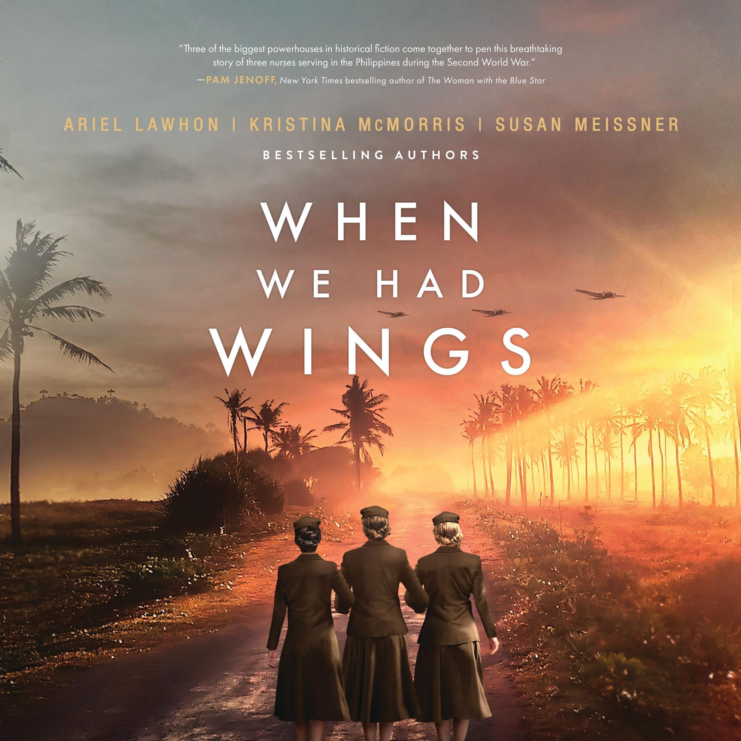 Cover art for When We Had Wings