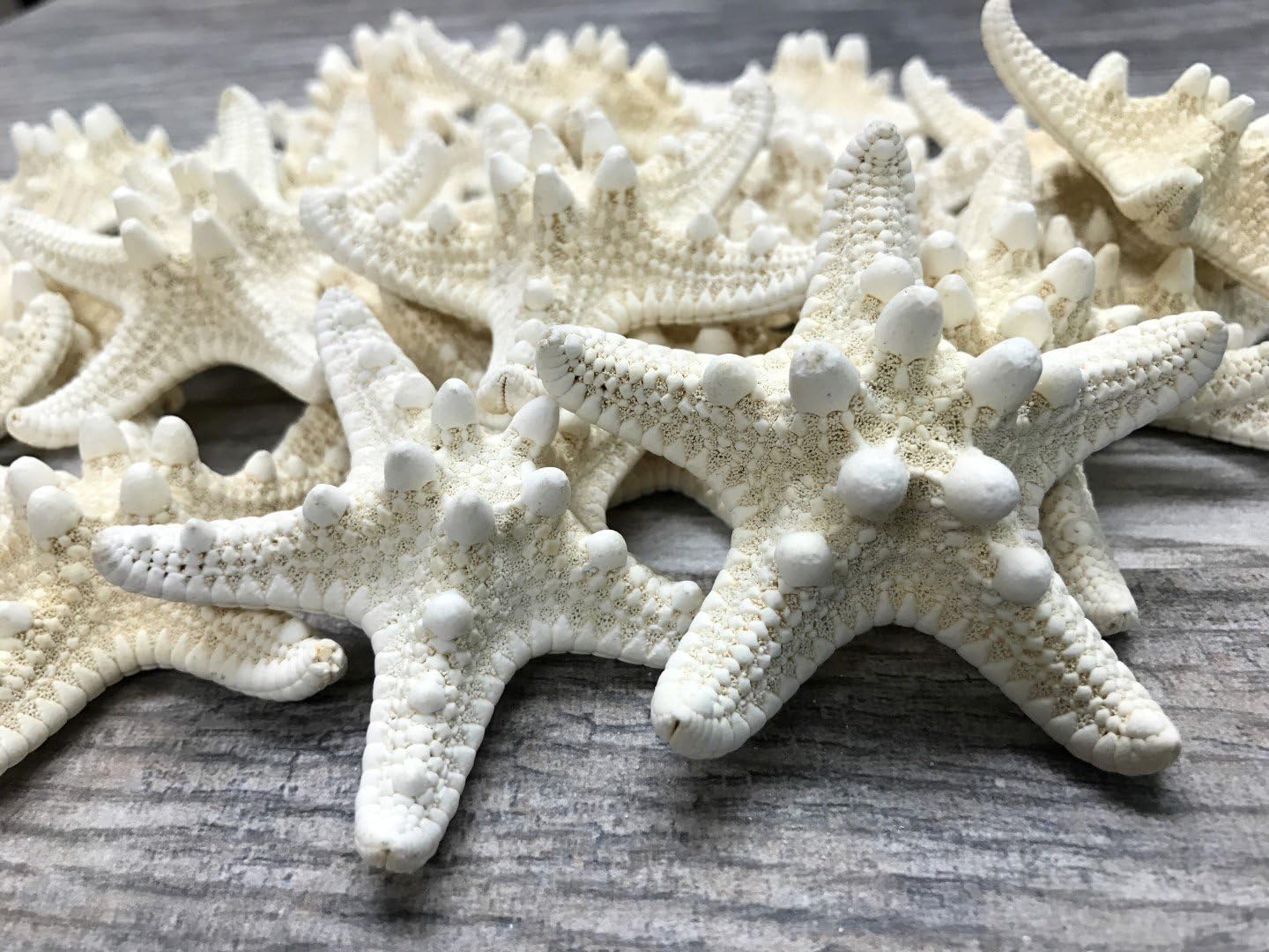 Real Knobby Starfish | 24 Real Knobby Starfish White 3" to 4" | Plus Free Nautical eBook by Joseph Rains